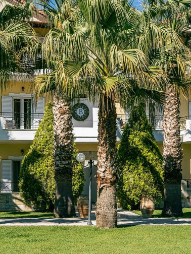 Palm trees lining an outdoor path