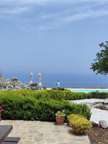 Garden and pool in the background