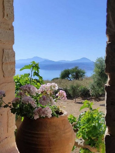 Sea view from garden