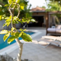 Adonis Villa (4 persons)