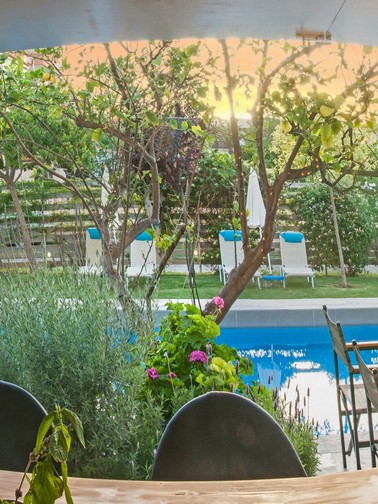 View of pool from pool bar