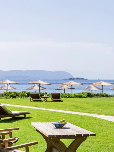 Beachside lawn and sunbeds